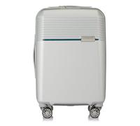 Hedgren Lineo Stripe S Valise Cabine 4 Roues 55 cm, Metallic Silver, 55, Décontracté