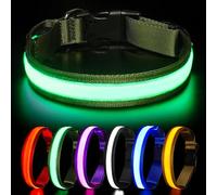 HEELE Collier Lumineux pour Chien, Collier Chien LED Rechargeable avec 3 Modes d'éclairage, Collier Fluorescent étanche pour Petits Moyens Gros Chiens, Collier de Chien Rechargeable Type-C, Vert, L