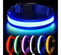 HEELE Collier Lumineux pour Chien, Collier Chien LED Rechargeable avec 3 Modes d'éclairage, Collier Fluorescent étanche pour Petits Moyens Gros Chiens, Collier de Chien Rechargeable Type-C, Bleu, S