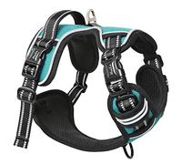 HEELE Harnais Chien, Harnais pour Chien Anti Traction Réfléchissant Harnais avec Poignée Rembourrée, 1 Boucle sur la Sangle Droite de Cou Rendent Facile à Mettre et à Enlever, Turquoise, L