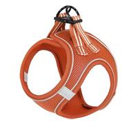 HEELE Harnais Chien Harnais pour Petit Chien Step-in Air Mesh Réfléchissante Réglable Harnais pour Chiot, Orange, M