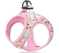 HEELE Harnais pour Chien, Petit Chien Harnais Réfléchissante Maille Souple Florale Respirant Réglable Harnais pour Chiot pour Voyage Quotidien et Marche de Nuit, Fleur Rose, M