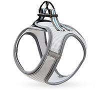 HEELE Harnais pour Chiens Harnais Rembourré en Mesh Doux pour Chiots Veste Respirant Réglable Réfléchissant Intérieur pour Marcher Courir Formation, Gris, XS