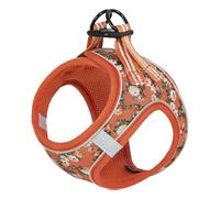 HEELE Harnais pour Chiens Harnais Rembourré en Mesh Doux pour Chiots Veste Respirant Réglable Réfléchissant Intérieur pour Marcher Courir Formation, Fleur Orange, S
