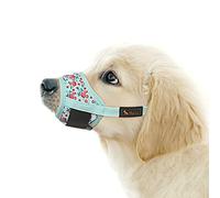 HEELE Museliere pour Chiens avec Boucle Ajustable Tissu Doux Muselières pour Chiens Empêcher de Mordre, Aboyer et Manger, Cyan, XS