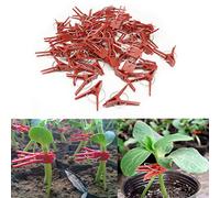 HEEPDD 100pcs Clips de Greffage en Plastique, Clips de Support du Concombre de Tomates Garden pour Soutenir Les Vignes de Tiges Grandit (Rouge)