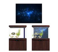 HEEPDD Affiche d'aquarium, Fond Statique, Décor sous-Marin pour Aquariums, Affiche d'aquarium de Taille 122x61 Cm, Matériau PVC, Fournitures 'Aquarium Nan Imperméables (91 * 50CM)