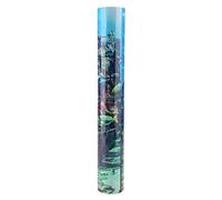 HEEPDD Affiche d'aquarium, sous-Marin Ruines Ruines Autocollant épaississeur PVC Adhésif Fond de Poisson Décoratif Décoration de Pêche de Pêche Décoration et Fournitures d'aménagement Paysager