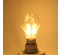 HEEPDD Ampoule à Filament LED E27, PC Transparent + Aluminium, Lumière Brillante économe en énergie pour Hôtels, Magasins, Salles de Réunion, 12 V 4 W Blanc Froid (4w)