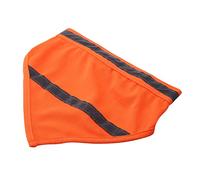 HEEPDD Bavoir Triangulaire de sécurité Nocturne Bandana Réfléchissant pour Chien, Bavoir Triangulaire en Polyester Respirant, écharpe Réglable pour Chiens de Petite et Moyenne Taille Marchant la (L)