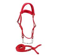 HEEPDD Bride de Cheval de 5 mm, Harnais de Harnais de Harnais de Cheval à Sangle épaissie Ajustable à Haute densité avec contrôle de Coussin Souple Accessoires d'équitation de licolHarnais