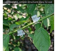 HEEPDD Clamp/Holder de Plante, Greffes Clips, 100pcs Vegetable Fruit Tree Seek Nursery Plastes Plantes, Outils de Jardinage Fabriqués