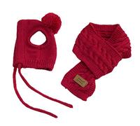 HEEPDD Ensemble Chapeau et écharpe d'hiver pour Animaux de Compagnie, Vêtements Tricotés Doux pour Chien avec Boule en Peluche, Design tissé, pour Chiens de Petite et Moyenne Taille de (Rouge #07)