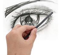 HEEPDD Ensemble de Crayons à Charbon Professionnels, 25 Pièces, Bâtons de Dessin Assortis avec Mélange Lisse pour Dessiner des Portraits (Charbon de bois)