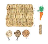 HEEPDD Ensemble de Jouets à Mâcher pour Hamster, Tapis d'herbe de Lapin, Jouet à Mâcher pour Cochon d'Inde, Perroquet, avec Bâton à tissé en Fibres Comestibles et Carotte pour