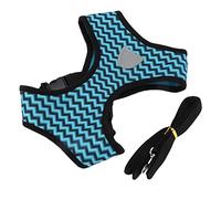 HEEPDD Ensemble de Laisse de Collier pour Chien, Poignée en Respirante pour Le Contrôle, Harnais Réfléchissant pour Animaux de Compagnie pour Chiens et Chats de Petite et Moyenne Taille (M)