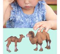 HEEPDD Ensemble de Lois en Miniature Ensemble de Jouets en Plastique en Plastique