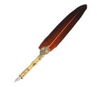 HEEPDD Ensemble de Stylo de Calligraphie, Kit de Plume en Acier Inoxydable avec 5 Plumes et Bouteille d'encre pour une Pratique d'écriture et de Calligraphie élégante (ORANGE)