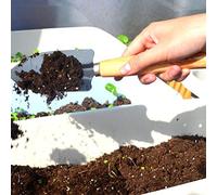 HEEPDD Ensemble d'Outils de Jardinage 3 Pièces, Outils Manuels de Jardin pour Planter des Plantes Succulentes, Mini Râteau, Pelle, Fourchette pour l'entretien des Plantes d'intérieur (Couleur