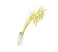HEEPDD Fleurs Artificielles Riz Artificiel Rice Attention aux Détails Facile à Simuler des Tiges de blé, 1 X des Tiges de blé Artificielles pour l'ambiance Rurale Nan (Longue brindale)