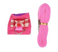 HEEPDD Hamster Harness Lash, Petit Gilet de Harnais pour Animaux de Compagnie et Laisse pour la Marche Extérieure Bunny Squirrel Guinée Pig Chinchilla Nan (S)