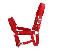 HEEPDD Licol en Cuir plaqué Laiton pour Entraînement de Cheval, Licol rembourré en Polaire épaisse de 2,5 Cm pour Chevaux de Petite à Moyenne Taille, Sangle en Nylon PP pour Un Bain et Une Attache