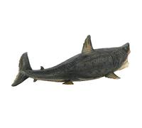 HEEPDD Modèle de Requin Mégalodon, Figurine Marine Réaliste, Détails Complexes et Réalistes pour Les Amateurs de Mer, Exploration éducative des écosystèmes Océaniques, Taille d'affichage de Table