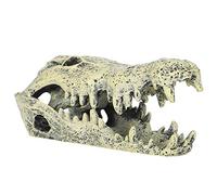 HEEPDD Ornement de Crâne de Dinosaure d'aquarium, Décor d'aquarium en Résine, Cachette de Reptile Unique pour Installation Aquatique