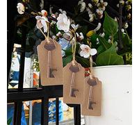 HEEPDD Ouvre-bouteille en Forme de clé, en Métal, Style Vintage, pour Bar et Restaurant (50 pcs + corde de chanvre + carte)