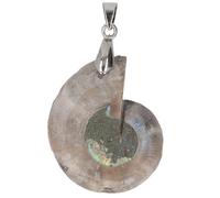 HEEPDD Pendentif en Ammonite fabriqué à la Main, Savoir-faire Exceptionnel et Design en Spirale Unique, œuvre d'art d'histoire Naturelle pour les Amoureux de l'océan et de la Pierre, Parfait pour