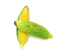 HEEPDD Pet Dog en Peluche Jouet Jouet Mâcher des Coureurs avec Un Son Sounder de Chat, épaississez Un de Chien Plus Amusant (Toys pour Chiens (Tissu en Toile))