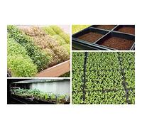 HEEPDD Plateaux de Germination 2pcs Graines de Démarrage de Démarrage de Cultures, 21,3x10.6x2.4 Pouces à Fond Plateaux de Semis en Plastique pour Semis Microganreens Blocs de Sol Nan (Black)