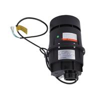 HEEPDD Pompe de Recirculation d'eau Chaude, pour Baignoire de Spa Domestique, Système de Filtration d'eau Efficace, Usage Familial, Pompe Motorisée en Plastique 220V (700W)