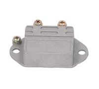 HEEPDD Régulateur en Alliage, Régulation Précise de la Tension, Alliage d'aluminium, Contrôleur AVR Automatique, Installation Facile pour équipement à 24 V (24V)