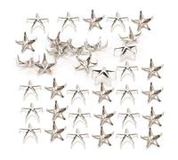 HEEPDD Rivets à Griffes en Métal, Goujons étoiles de 10 Mm, Argent, Alliage de Zinc Durable pour Sacs, Chapeaux et Vêtements de Bricolage (Alliage de zinc)