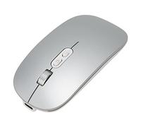 HEEPDD Souris, Silencieux Prise Confortable Double Mode 2.4G Rechargeable Sans Fil Souris avec Lumière Colorée pour PC pour OS X (Gris Argent)