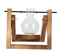 HEEPDD Station de Propagation de Bureau, Support Pivotant en Métal Plant Terrarium Nan (Rack rétro + Bouteille Unique)