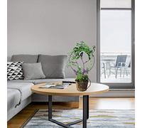 HEEPDD Support de Plante Rond en Fer avec Décoration d'oiseaux, Support d'escalade Robuste pour Fleurs en Pot, 15,94 à 17,9 Pouces pour Jardins Intérieurs et Extérieurs (White #85)