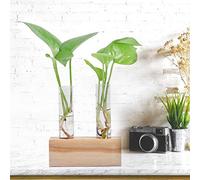 HEEPDD Vase en Verre, Rack en Bois Décor de la Maison Hydroponic Plant Vase Terrarium pour Succulentes Moss Grass and Ferns Design élégant pour la Décoration Quotidienne de Bureau ou de Maison