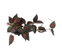 HEEPDD Vigne de lézard grimpant en plastique pour décoration de boîte de reptiles, aquarium et aquarium, fausse vigne à suspendre pour animaux de compagnie, 2 à 2,5 m (#1) (#2) (#3) (#4) (#5) (#6)