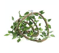 HEEPDD Vignes Grimpantes en Rotin pour Reptiles de la Jungle, Matériau PU Flexible avec Ventouses, Idéales pour Les Lézards et Les Rainettes, Décoration d' d'aspect Naturel de 9,84 Pieds (Grand