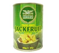 Heera - Jeune fruit de jacquier dans de l'eau salée - lot de 2 boîtes de 482 g