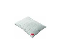 HEFEL Oreiller Bio Wool 40x60cm (champagne) beige