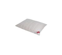 HEFEL Oreiller Wellness Zirbe Wash 40x80cm 510g/100g beige