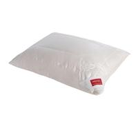 Hefel Pure Silk Oreiller en soie sauvage (40 x 60 cm)