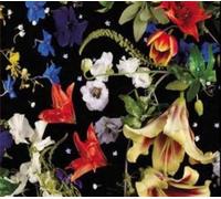 Hegemund - Nuit Blanche