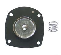 HEIBTENY Kit de réparation de membrane M25 pour turbo vannes DM20/25 DP20/25 FM20/FM25 FP20/25 - Kit nitrile pour applications de température standard