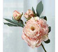 HEIBTENY pour fleur Pivoine Soie 64cm Tige Pliable Décoration Maison | Soie et plastique durables, couleurs vives résistantes, pas de flétrissement, pour idéal salon pour chambre, aspect (Pink)