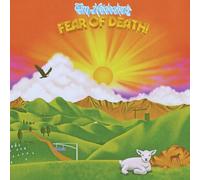 Heidecker, Tim - Fear of Death-Sun Yellow Vinyl [Import]
