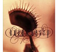 Heidi Berry by Heidi Berry